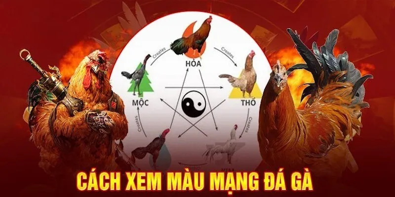 Hướng dẫn chọn màu mạng phù hợp cho từng chiến